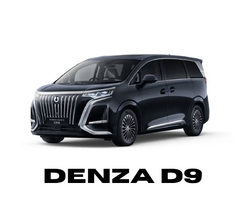 DenzaD9